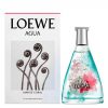 Agua De Loewe Mar De Coral Loewe 100 Ml Edt